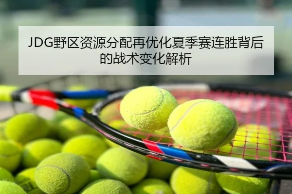 JDG野区资源分配再优化夏季赛连胜背后的战术变化解析